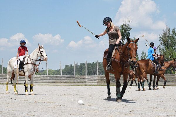 Learn to Play Polo, Toronto
